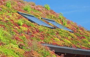 Oldfield Park living roof systems