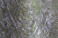 Oldfield Park fibreglass roof work